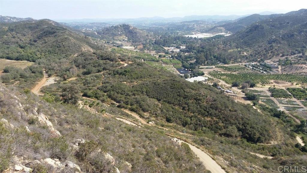 27623 Cougar Pass Road Escondido, CA 92026 - Photo 5 of 12 a view of a forest with mountains in the background