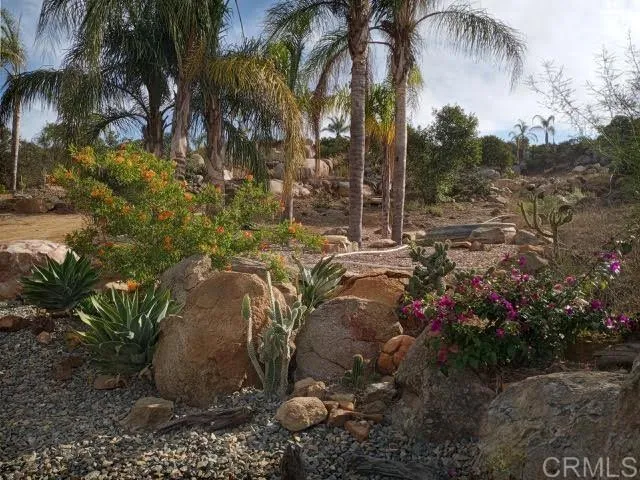 a garden view with a seating space