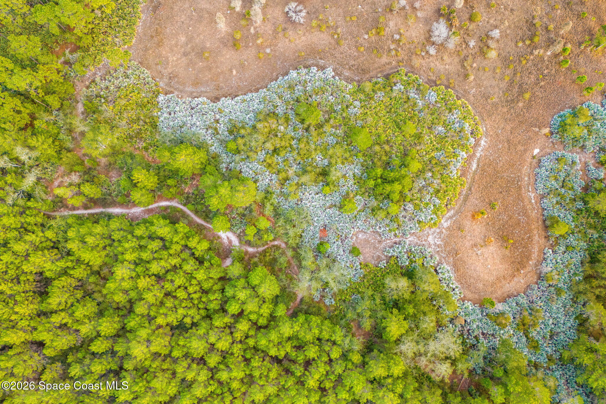 1305 Pemberton Trail Malabar, FL 32950 - Photo 70 of 75 View of neighborhood trails