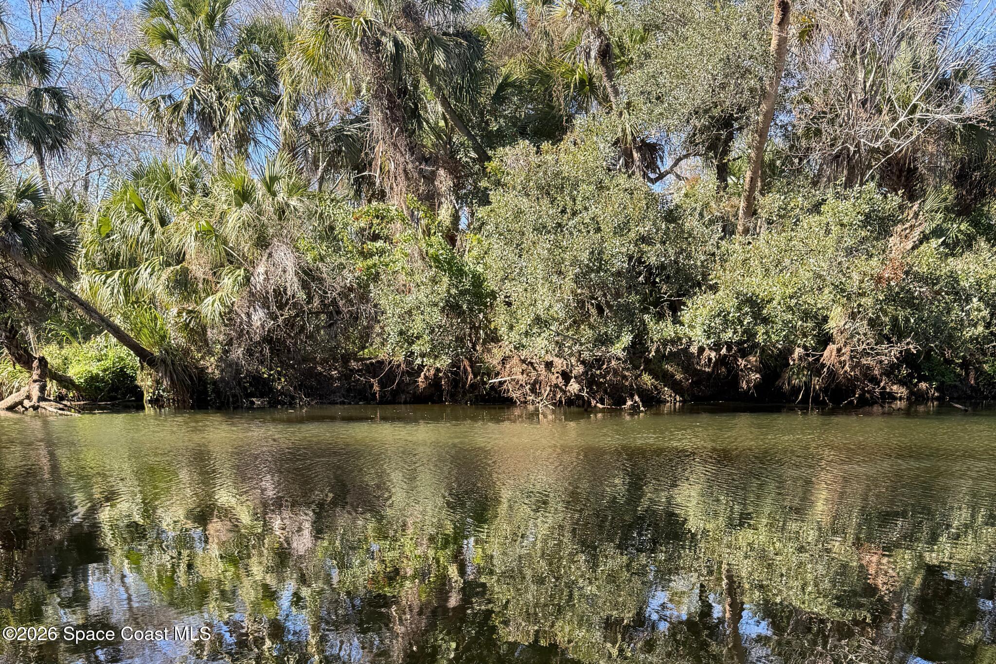 1305 Pemberton Trail Malabar, FL 32950 - Photo 70 of 77 Turkey Creek Sanctuary