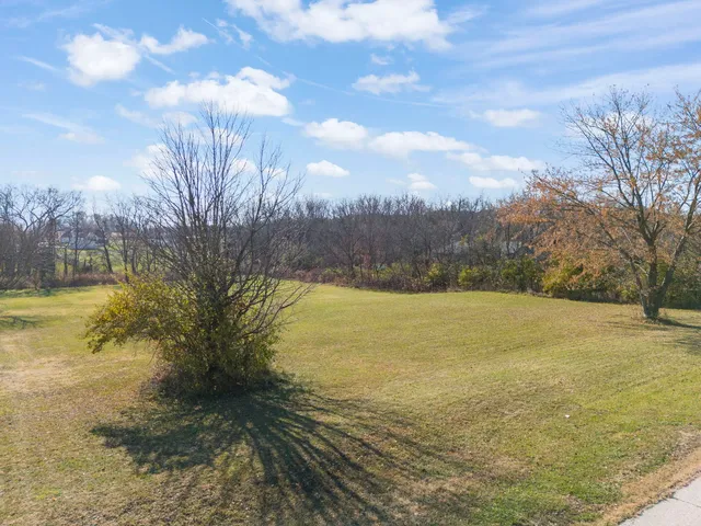 a view of an ocean and trees