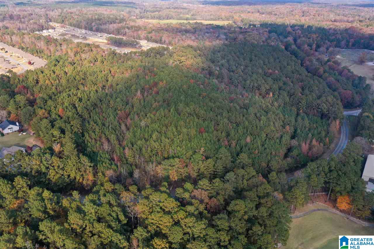 0 County Road 306 Calera, AL 35040 - Photo 4 of 9