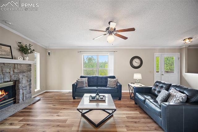 693 Kutsu Ridge Road Florissant, CO 80816 - Photo 2 of 21 Gallery Image 2