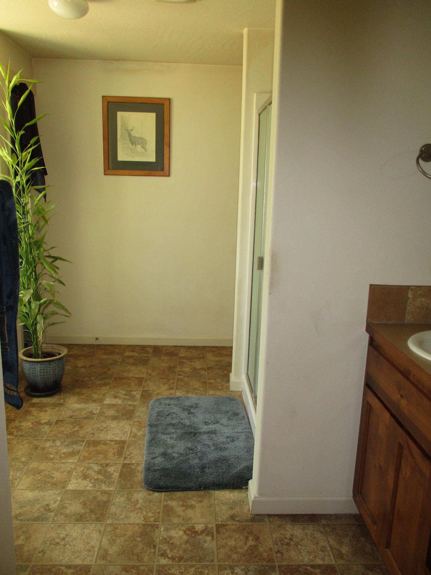 36141 David Street Chiloquin, OR 97624 - Photo 21 of 43 IMG_0904