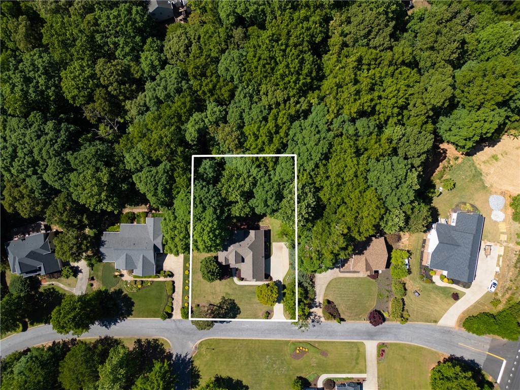 110 Brookstone Way Central, SC 29630 - Photo 42 of 46 This elevated view highlights the property's serene setting amidst lush greenery and a well-maintained neighborhood.