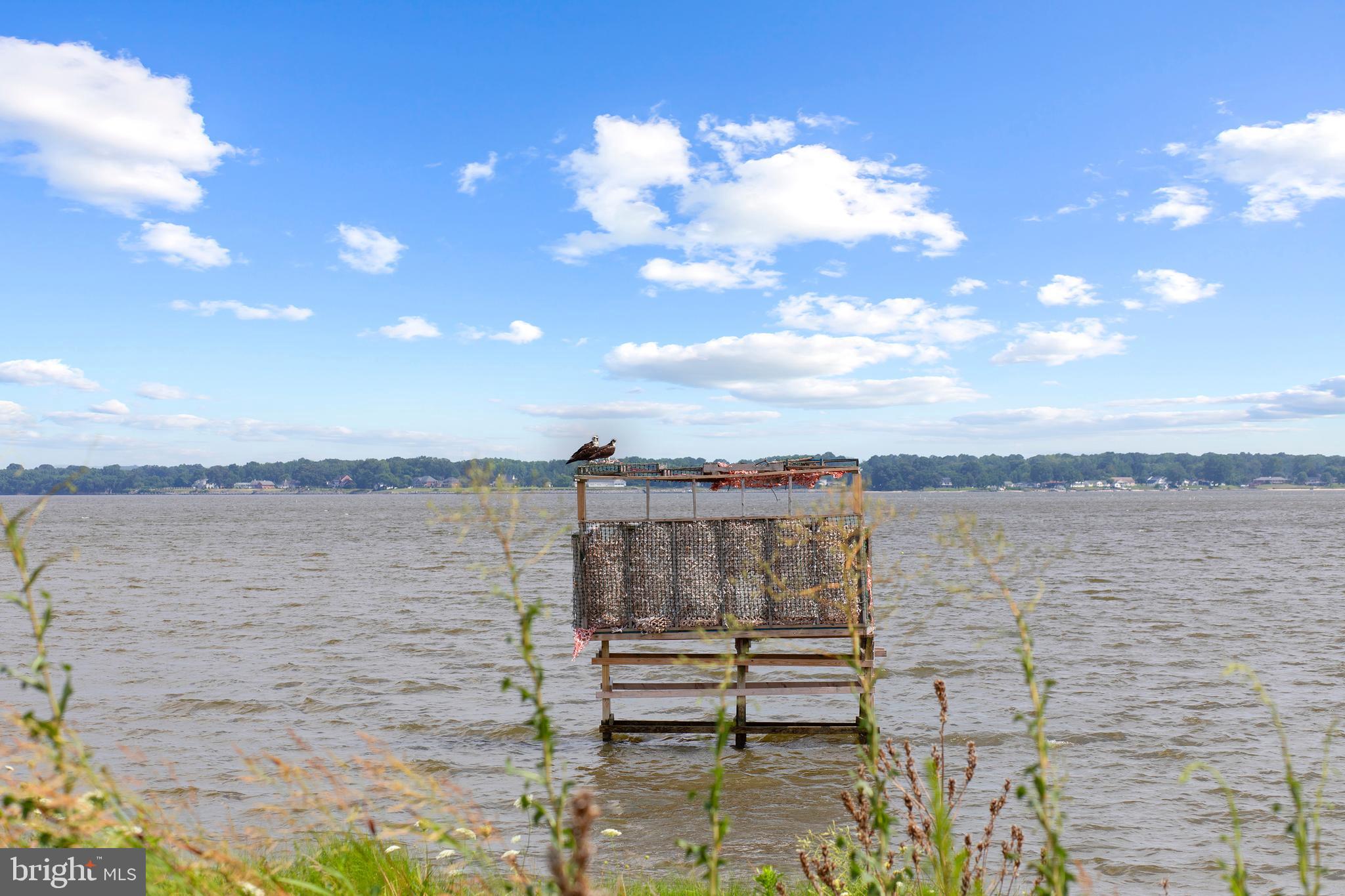 19 Avalon Drive Colonial Beach, VA 22443 - Photo 62 of 62