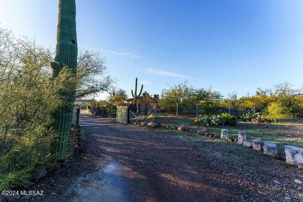 2951 West Mossman Road Tucson, AZ 85746 - Photo 4 of 28 Gallery Image 4