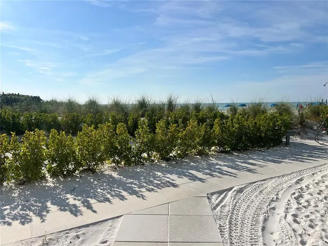 a view of a lake in middle of forest