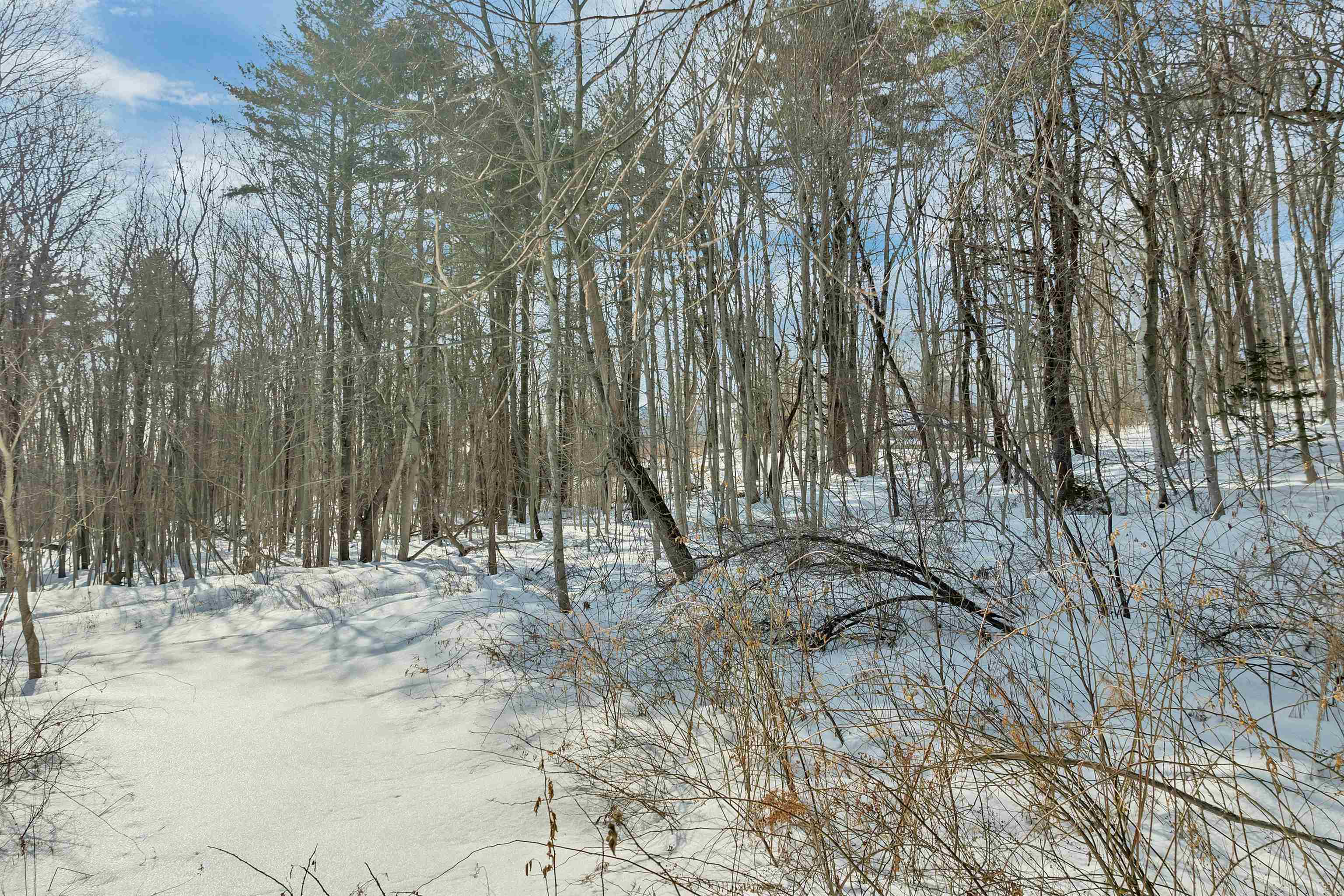 16 Varney Road, Unit 86 & 87 Wolfeboro, NH 03894 - Photo 11 of 17