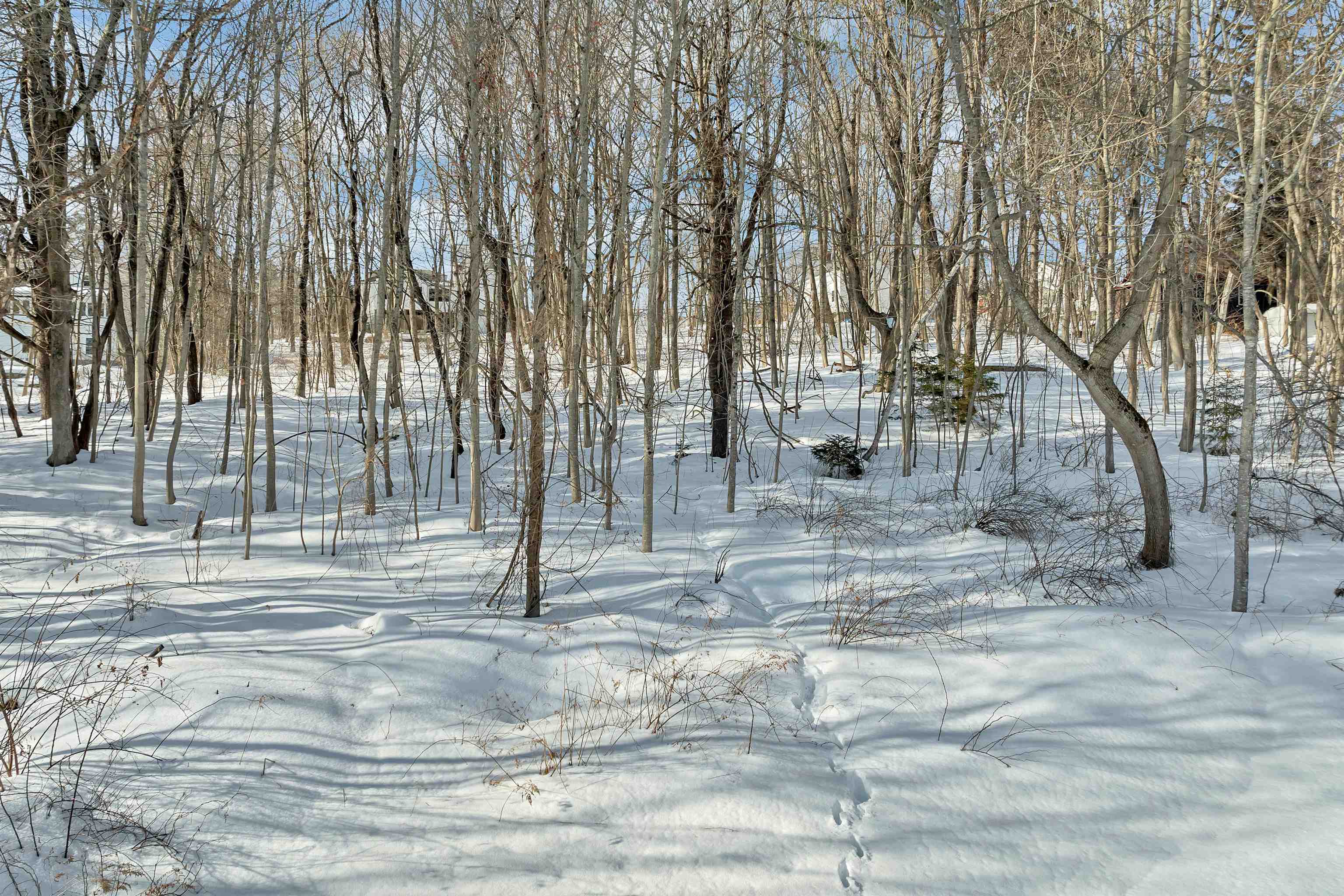 16 Varney Road, Unit 86 & 87 Wolfeboro, NH 03894 - Photo 10 of 17