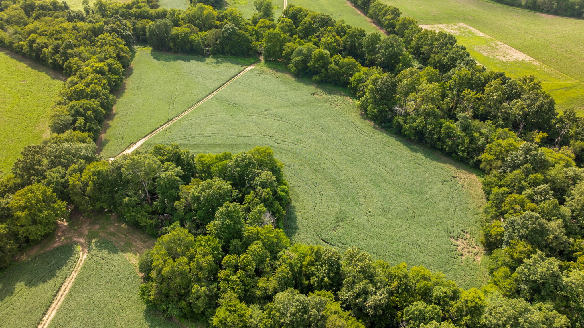0 South Commerce Road Watertown, TN 37184 - Photo 28 of 37 Gallery Image 28