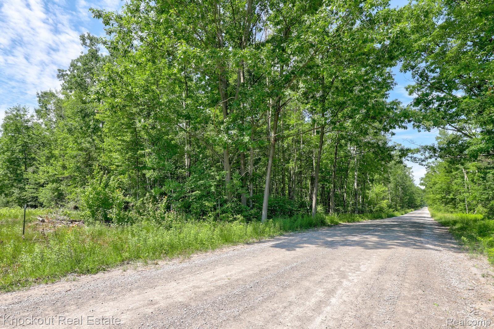 1000 West Kitchen Road Rhodes, MI 48652 - Photo 26 of 34 Kitchen Lots Bay County-23.jpg