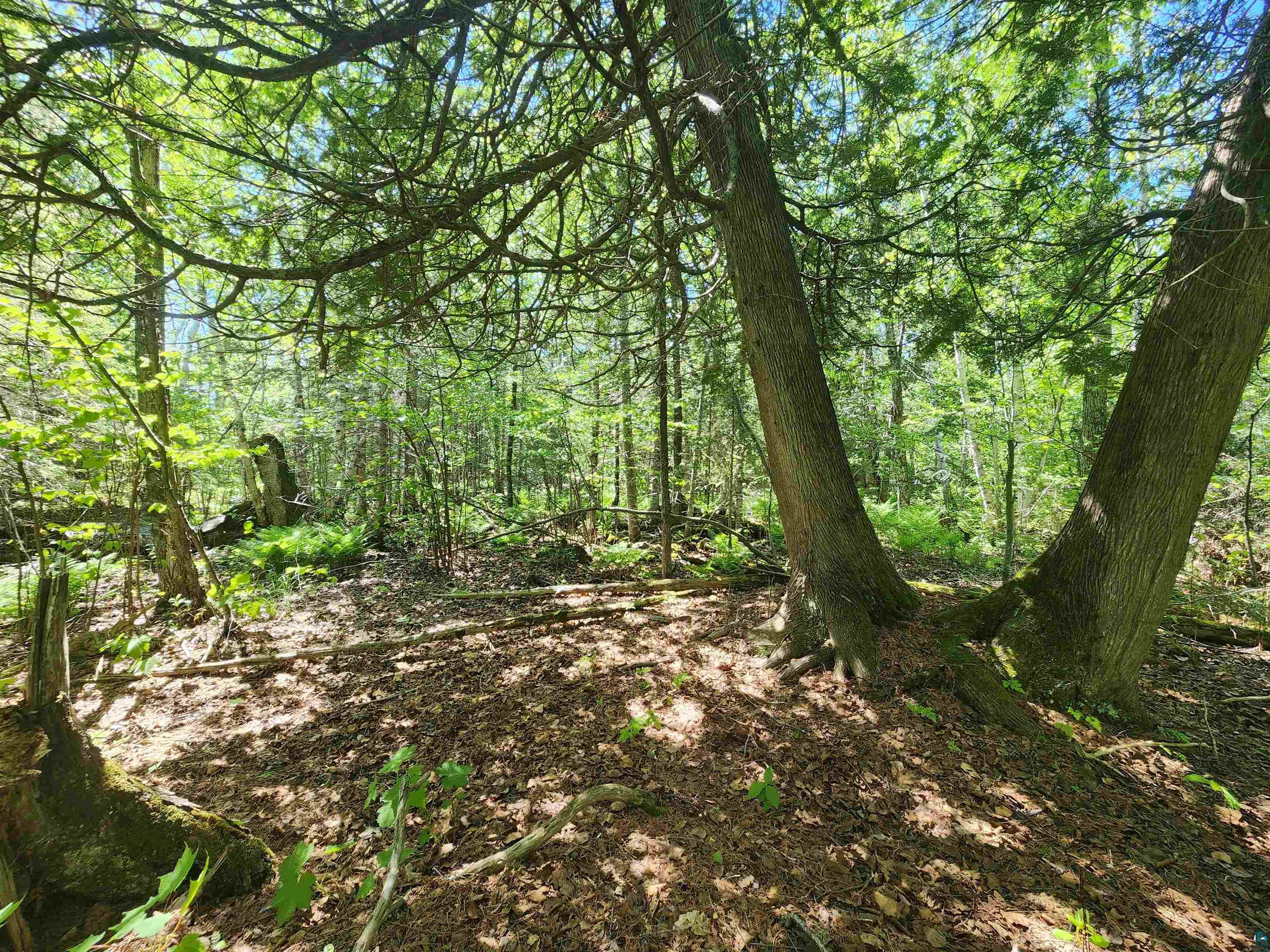 15 X Ski Hill Road Lutsen, MN 55612 - Photo 13 of 16