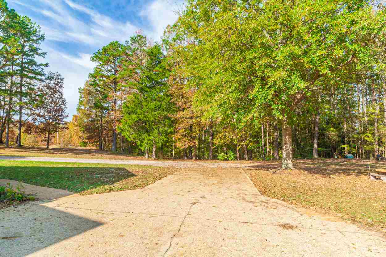 285 Webb Mill Bridge Road Hornsby, TN 38044 - Photo 24 of 25 Gallery Image 24