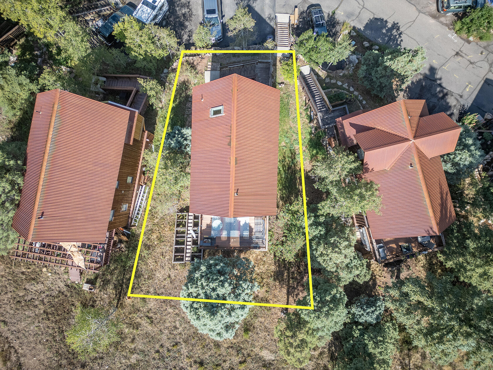921 Two Rivers Drive Telluride, CO 81435 - Photo 34 of 34 DJI_0538Lines