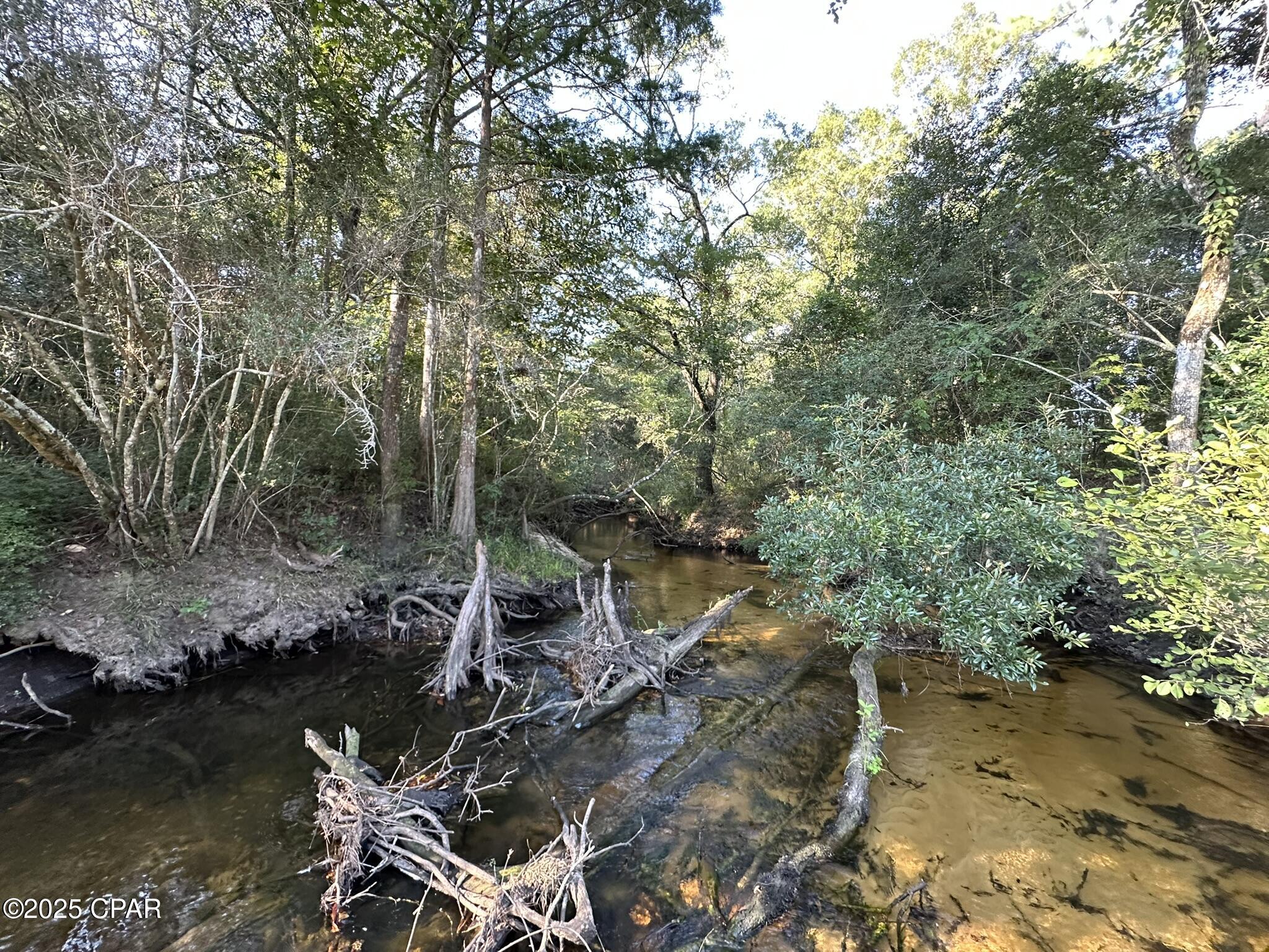 Tract#6201 Doyle Morgan Road DeFuniak Springs, FL 32433 - Photo 11 of 39