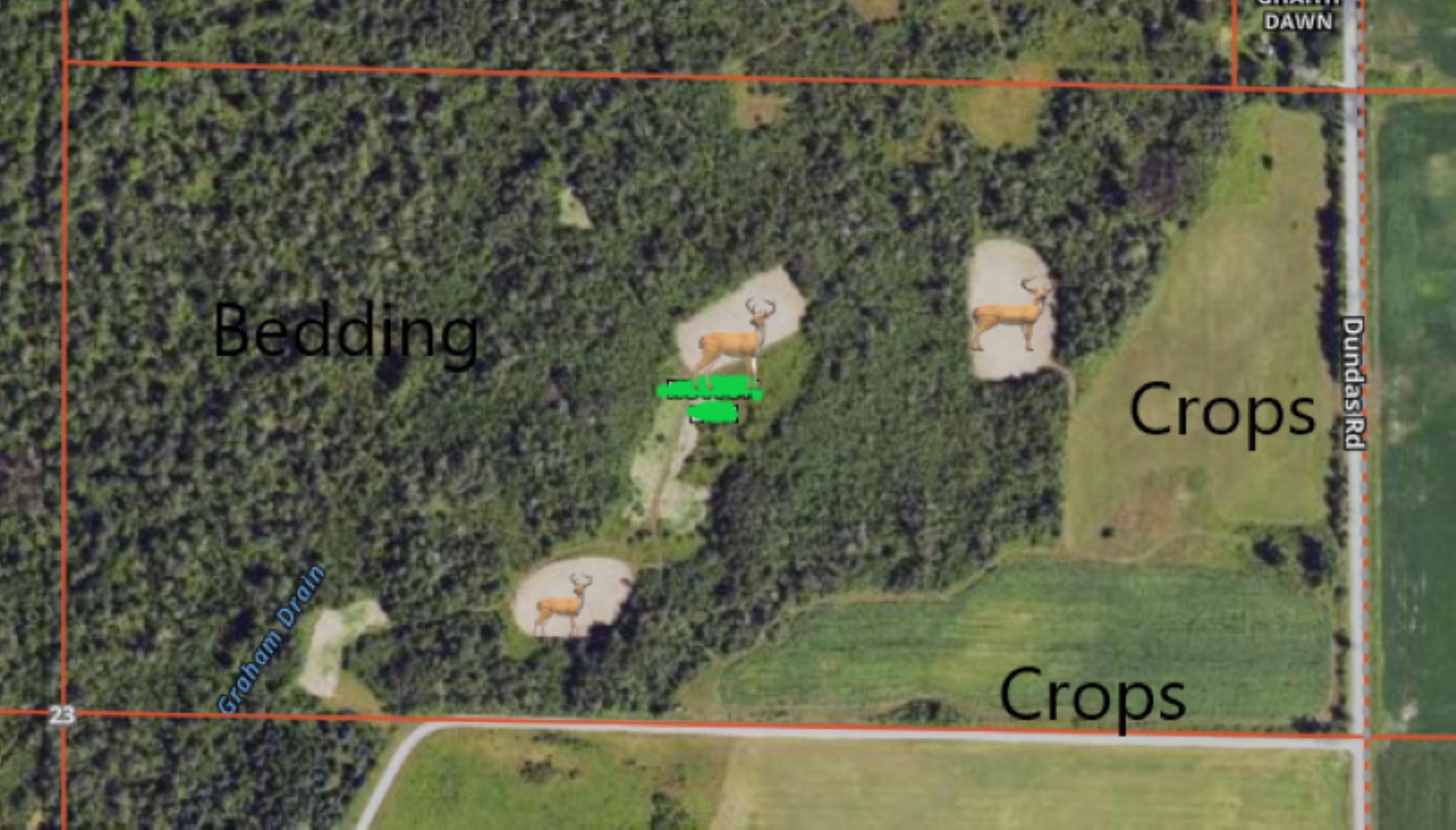 0 Dundas Road Gladwin, MI 48624 - Photo 1 of 12