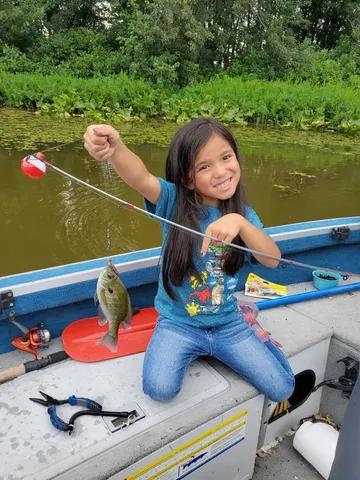 $102,970 | Parcel D North Stephens Road, Custer, MI 49405