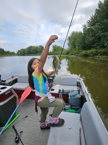 $102,970 | Parcel D North Stephens Road, Custer, MI 49405