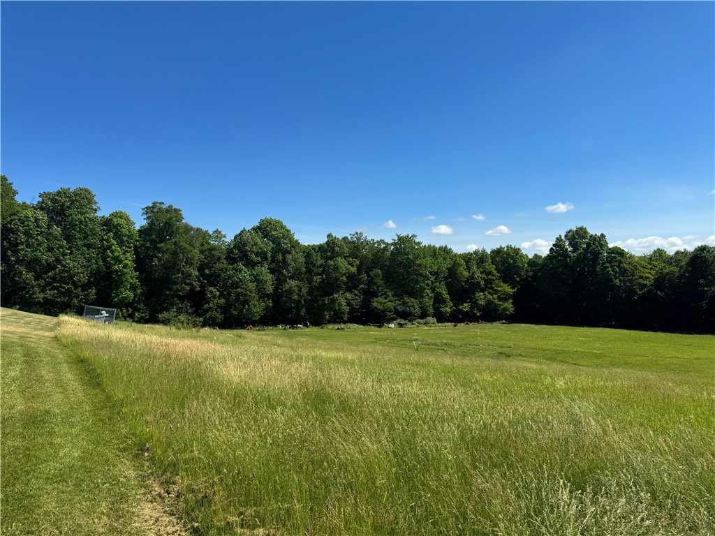 1403 Ridley Road Phelps, NY 14532 - Photo 13 of 16