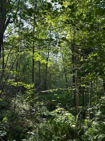 $29,900 | Map7-lot68 Kirkland Road, Old Town, ME 04468