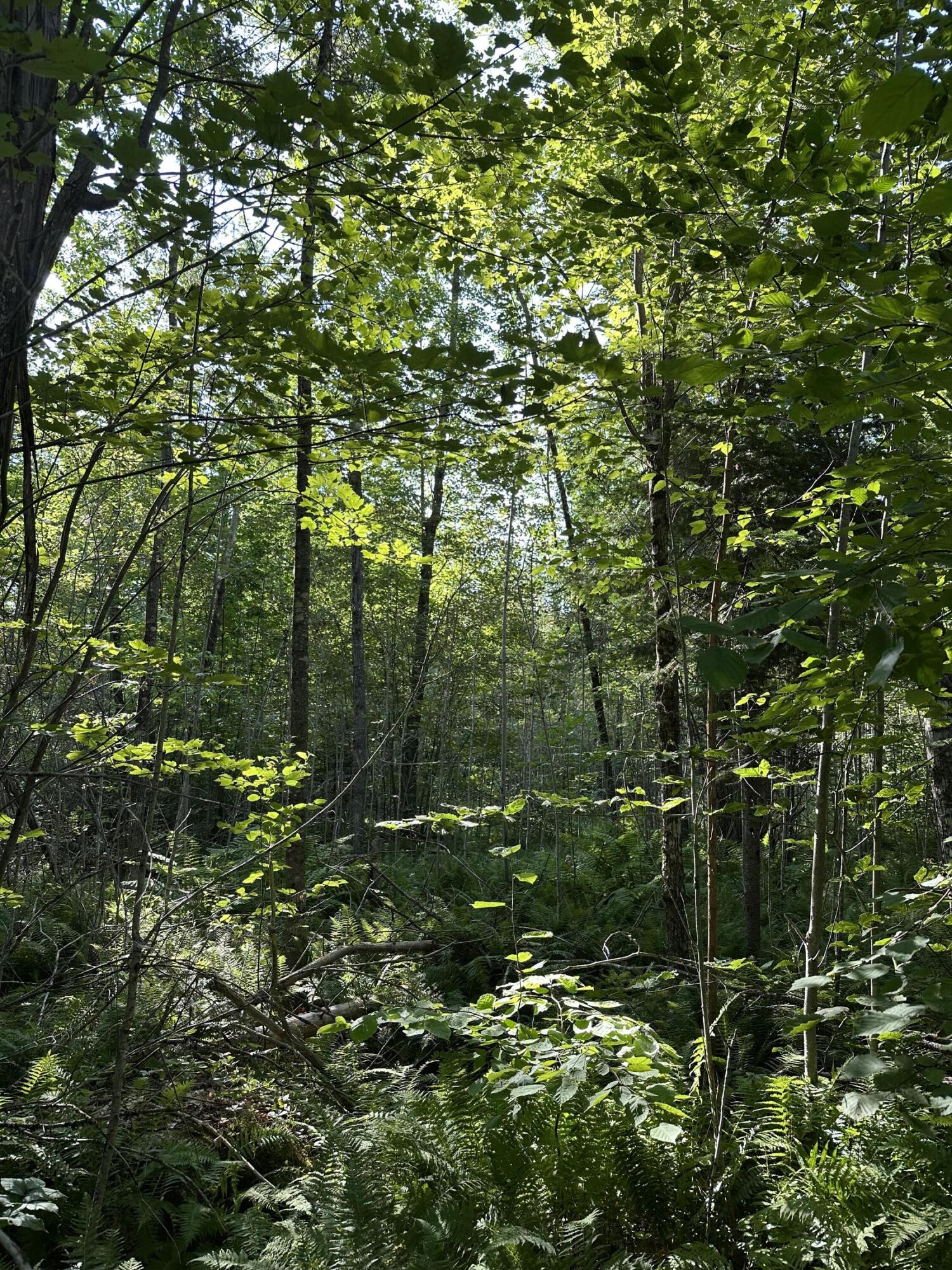 Map7-lot68 Kirkland Road Old Town, ME 04468 - Photo 3 of 5 IMG_3381