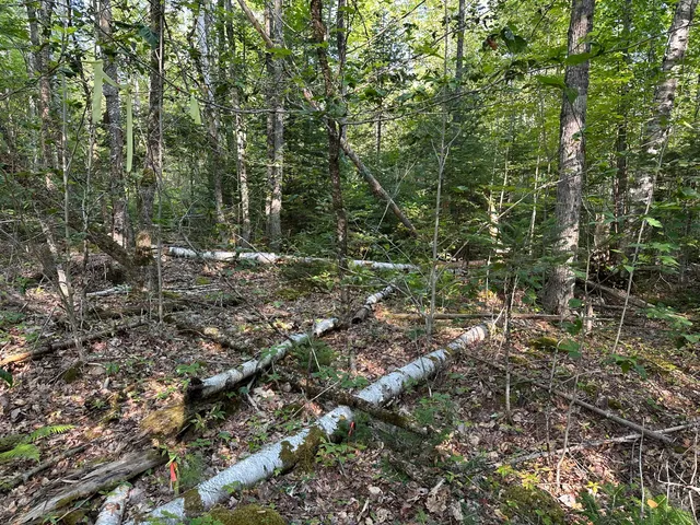 $29,900 | Map7-lot68 Kirkland Road, Old Town, ME 04468
