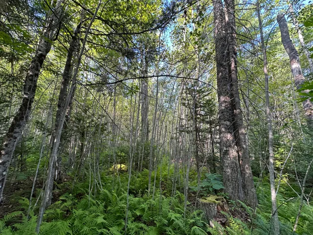$29,900 | Map7-lot68 Kirkland Road, Old Town, ME 04468