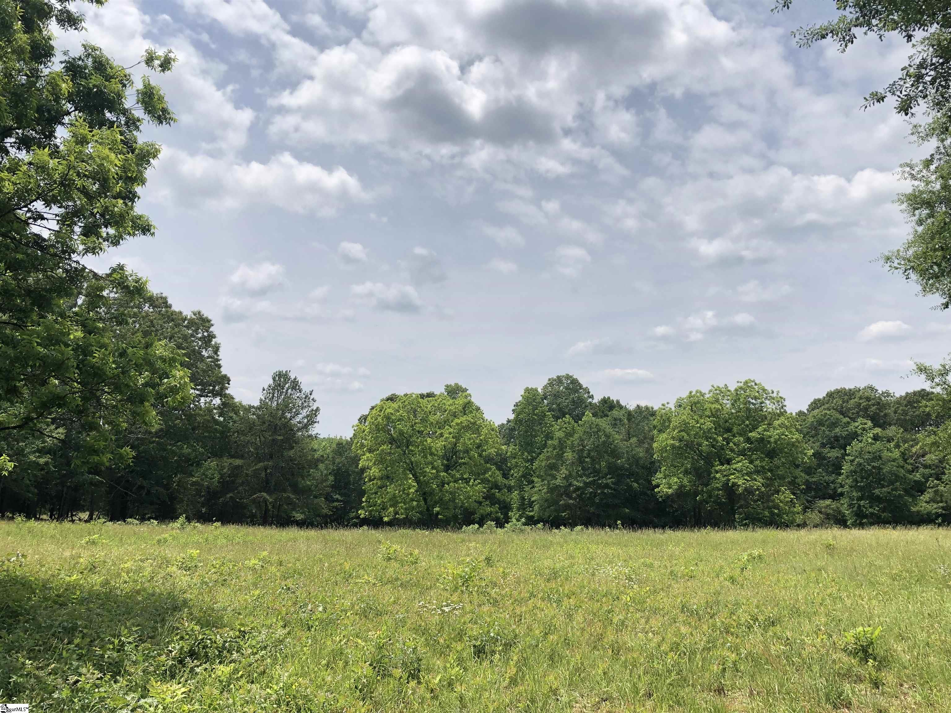 0 Cooper Bridge Road Fountain Inn, SC 29644 - Photo 2 of 3