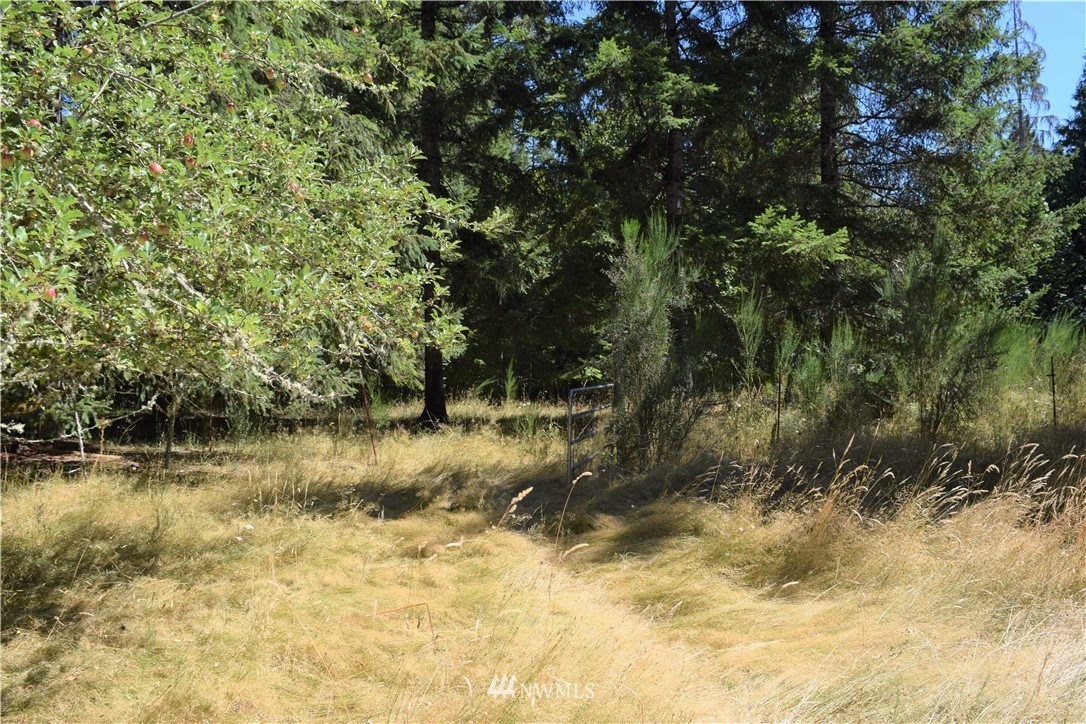 10 Stadium Beach Road East Grapeview, WA 98546 - Photo 23 of 25 Gallery Image 23