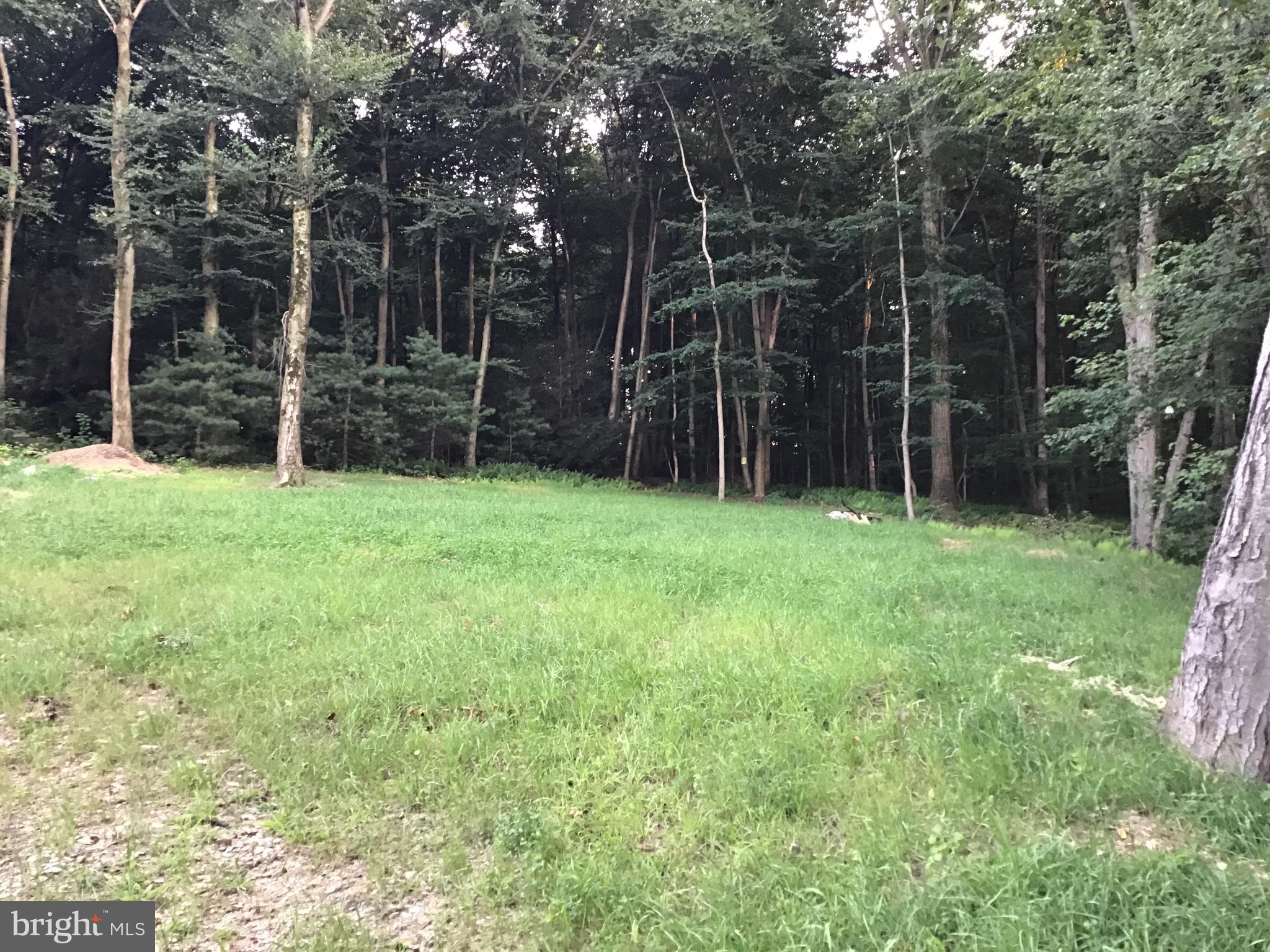 16 Schoolhouse Road Kirkwood, PA 17536 - Photo 12 of 44