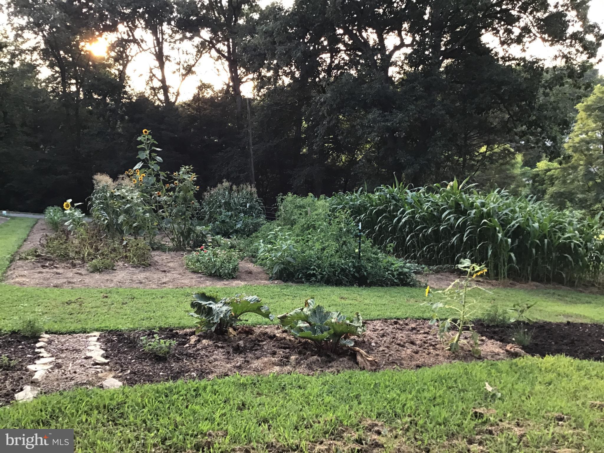 16 Schoolhouse Road Kirkwood, PA 17536 - Photo 20 of 44