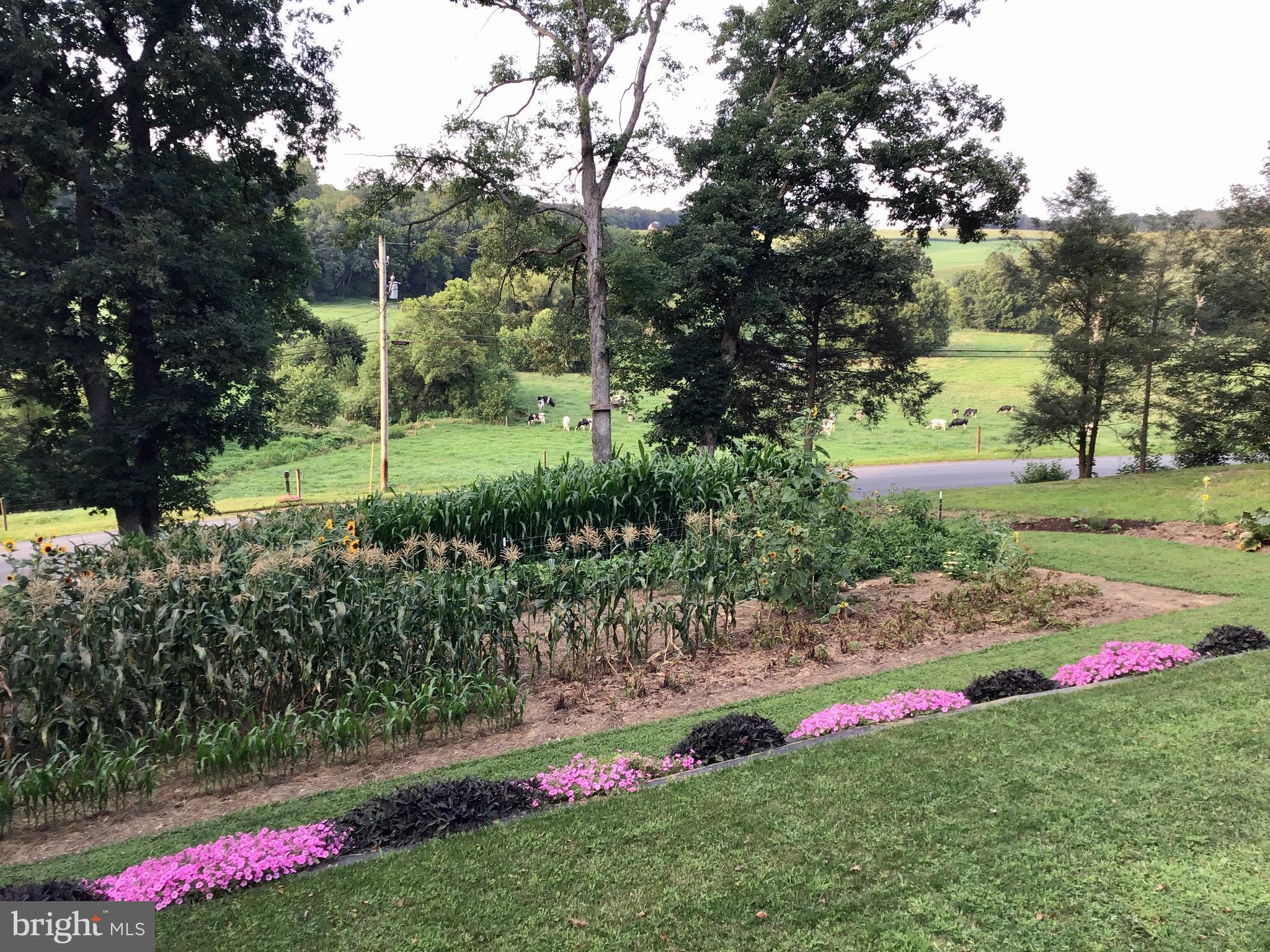 16 Schoolhouse Road Kirkwood, PA 17536 - Photo 33 of 44