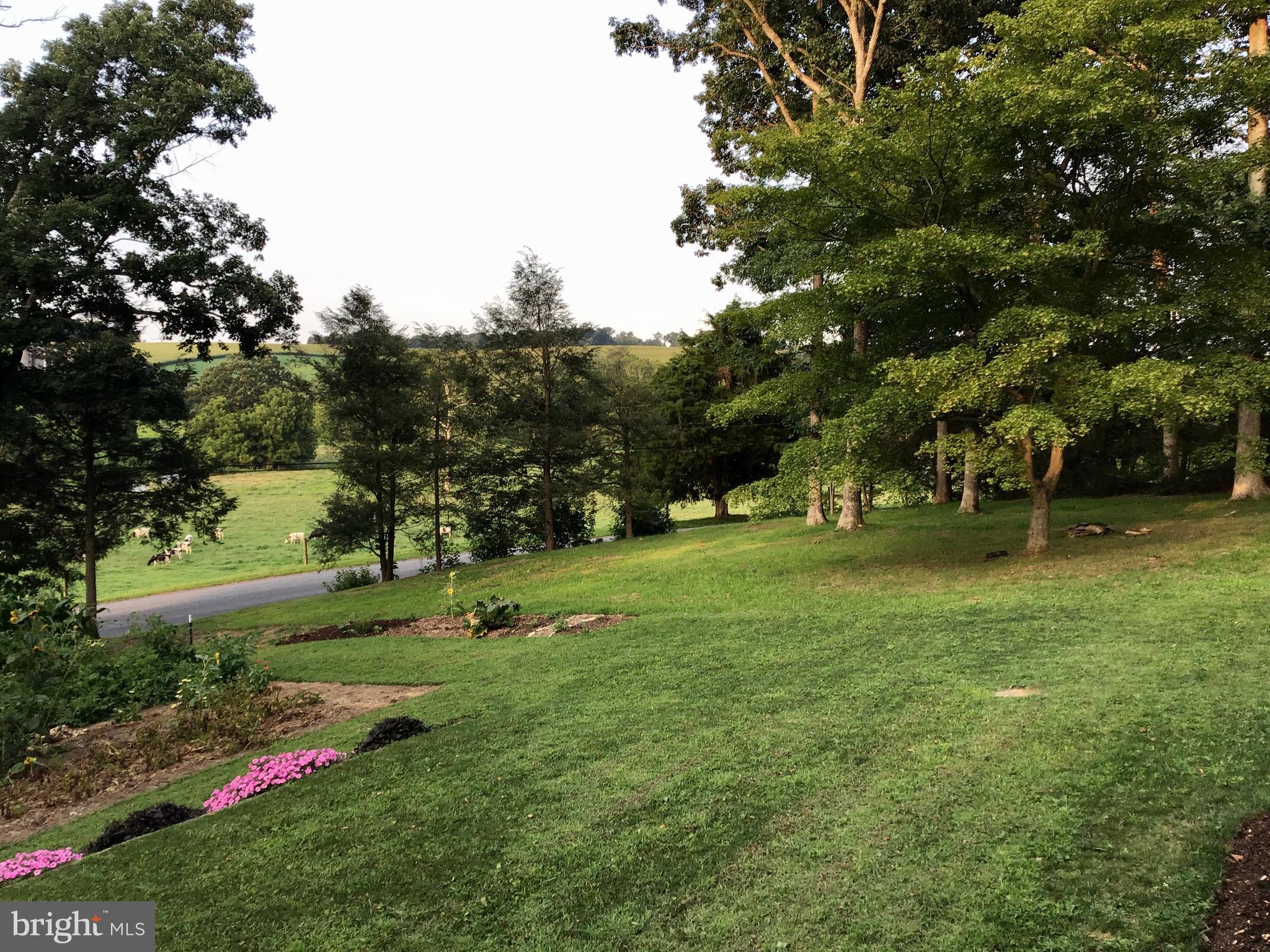 16 Schoolhouse Road Kirkwood, PA 17536 - Photo 34 of 44