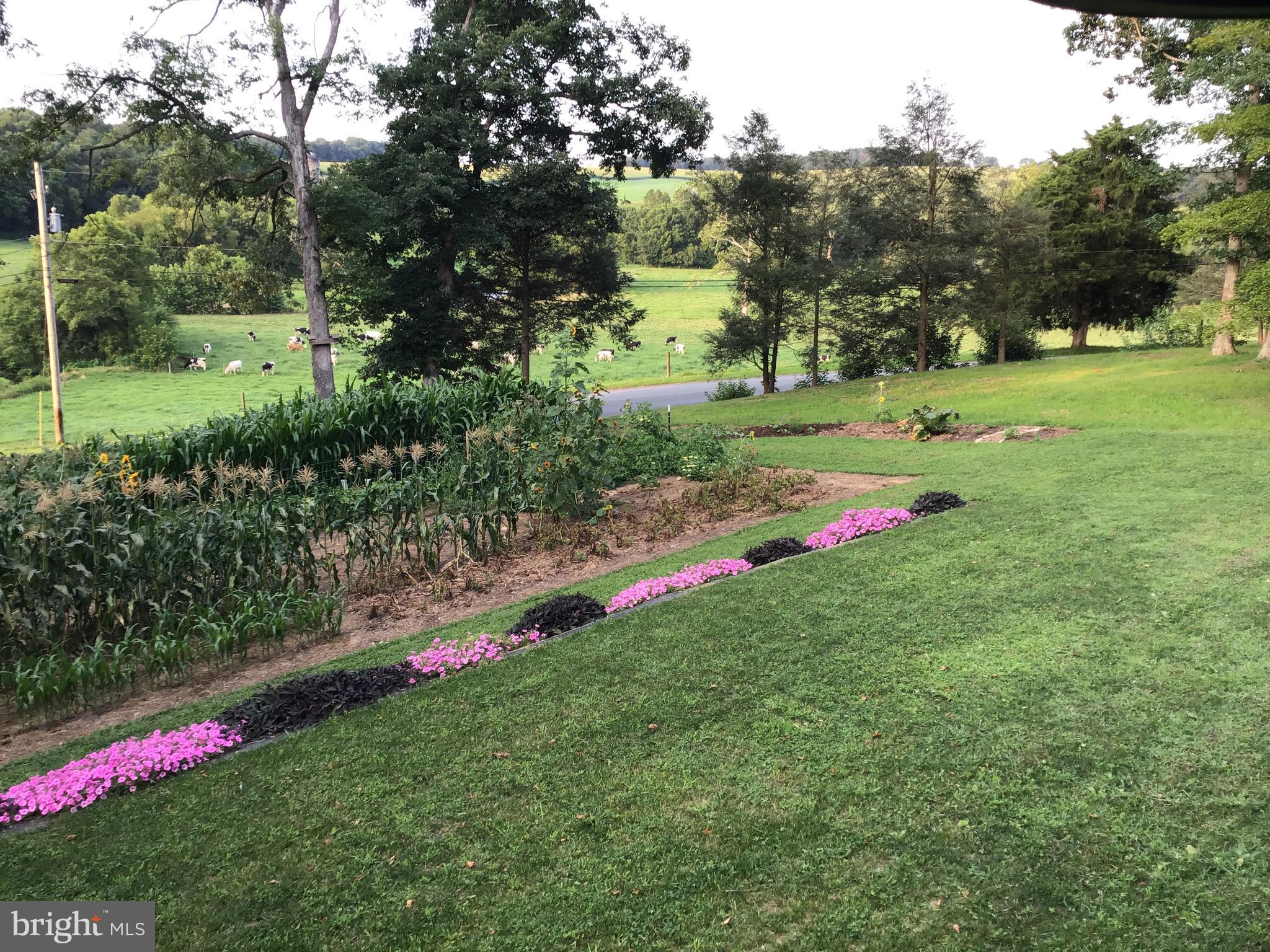 16 Schoolhouse Road Kirkwood, PA 17536 - Photo 35 of 44