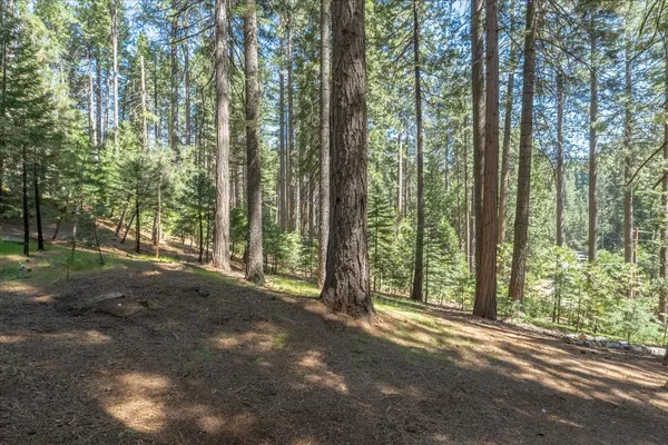 $599,000 | 1539 Pebble Beach Way, Arnold, CA 95223