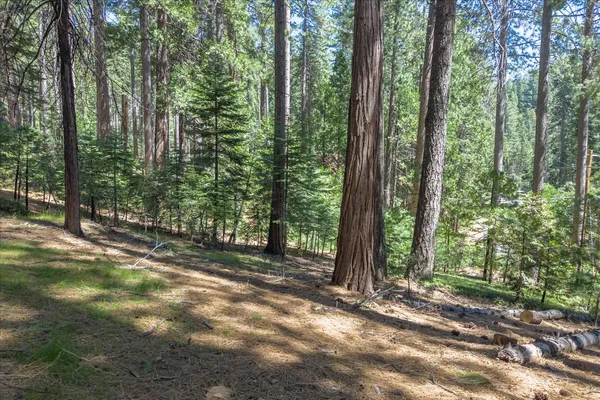 $599,000 | 1539 Pebble Beach Way, Arnold, CA 95223