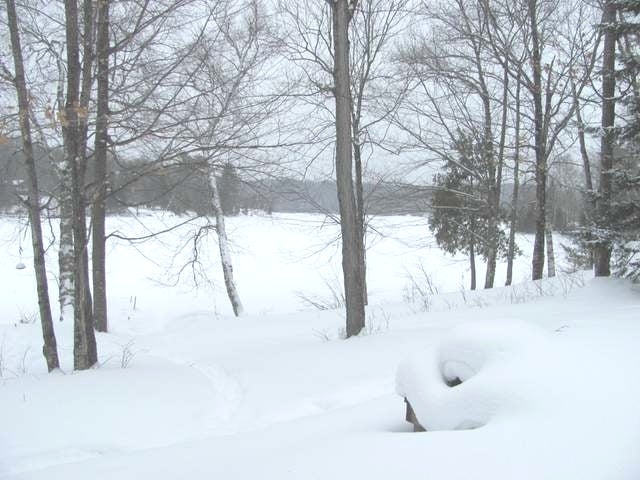 7230 West Van Vliet Road Presque Isle, WI 54557 - Photo 10 of 10 Gallery Image 10