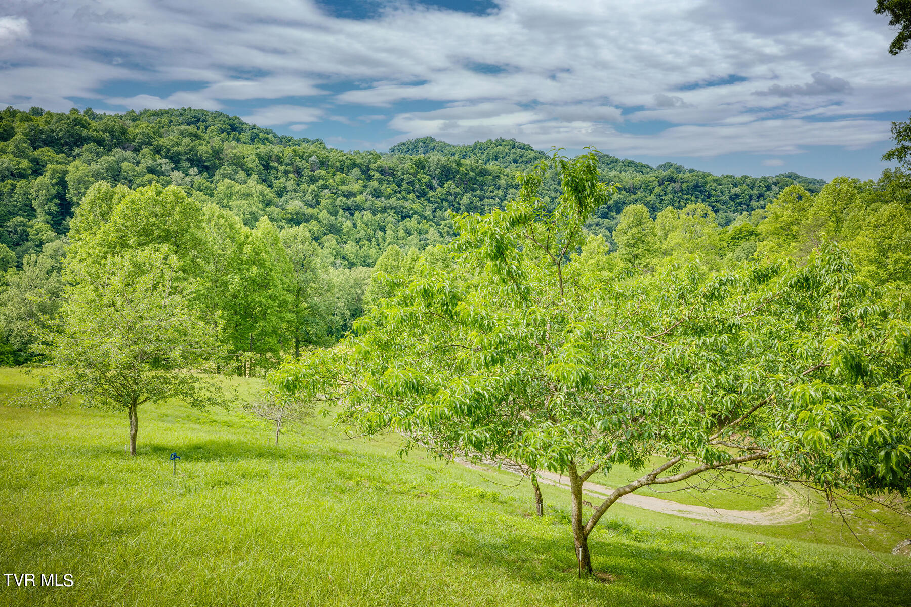 2812 Ruritan Run Road Gate City, VA 24251 - Photo 55 of 82 053