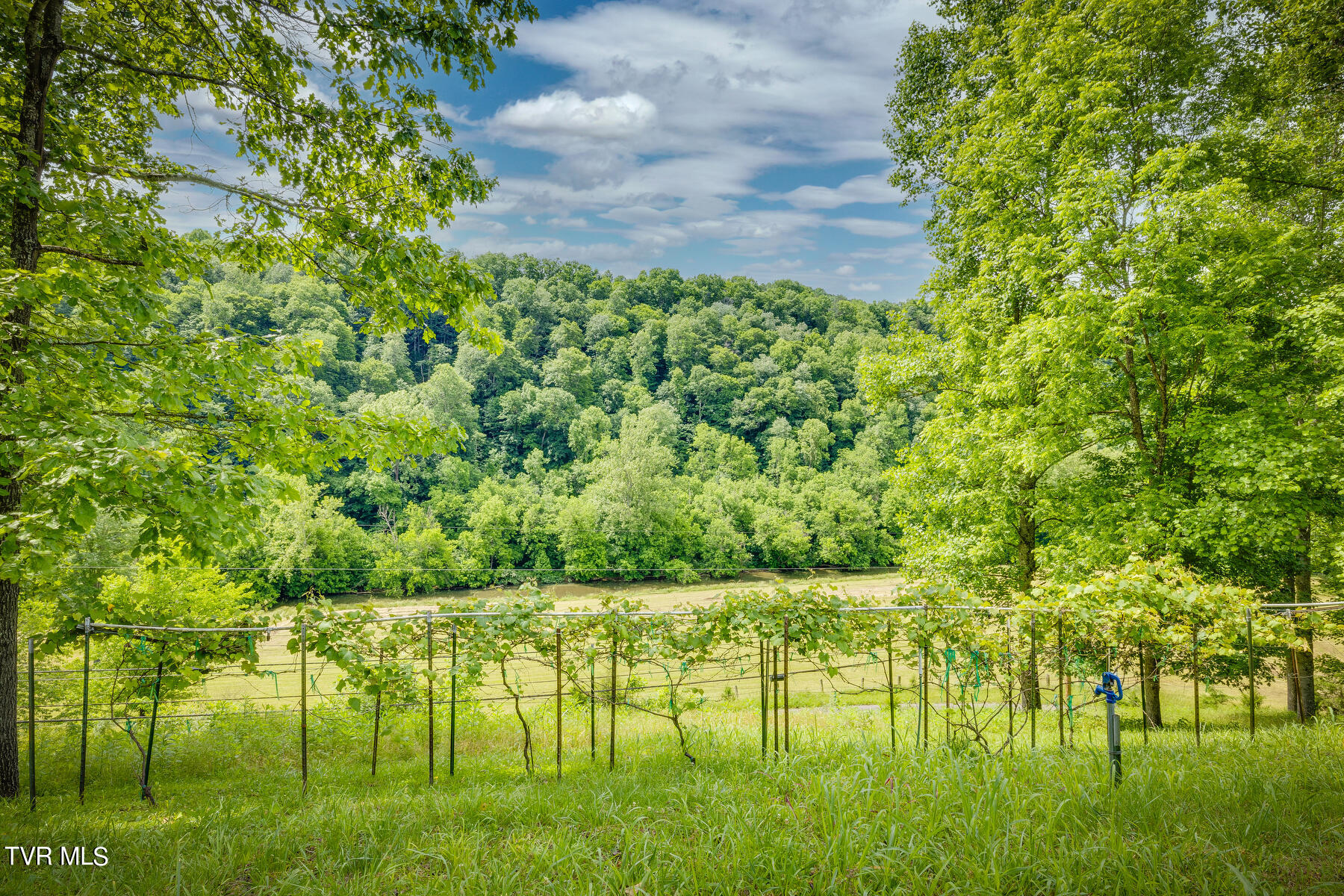 2812 Ruritan Run Road Gate City, VA 24251 - Photo 56 of 82 054