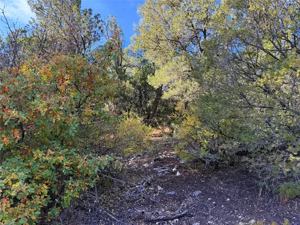 $19,500 | 9 Peterson Road, Edgewood, NM 87015