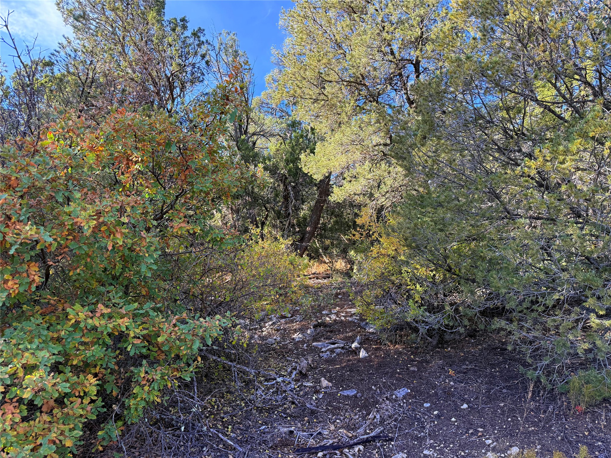 9 Peterson Road Edgewood, NM 87015 - Photo 2 of 9