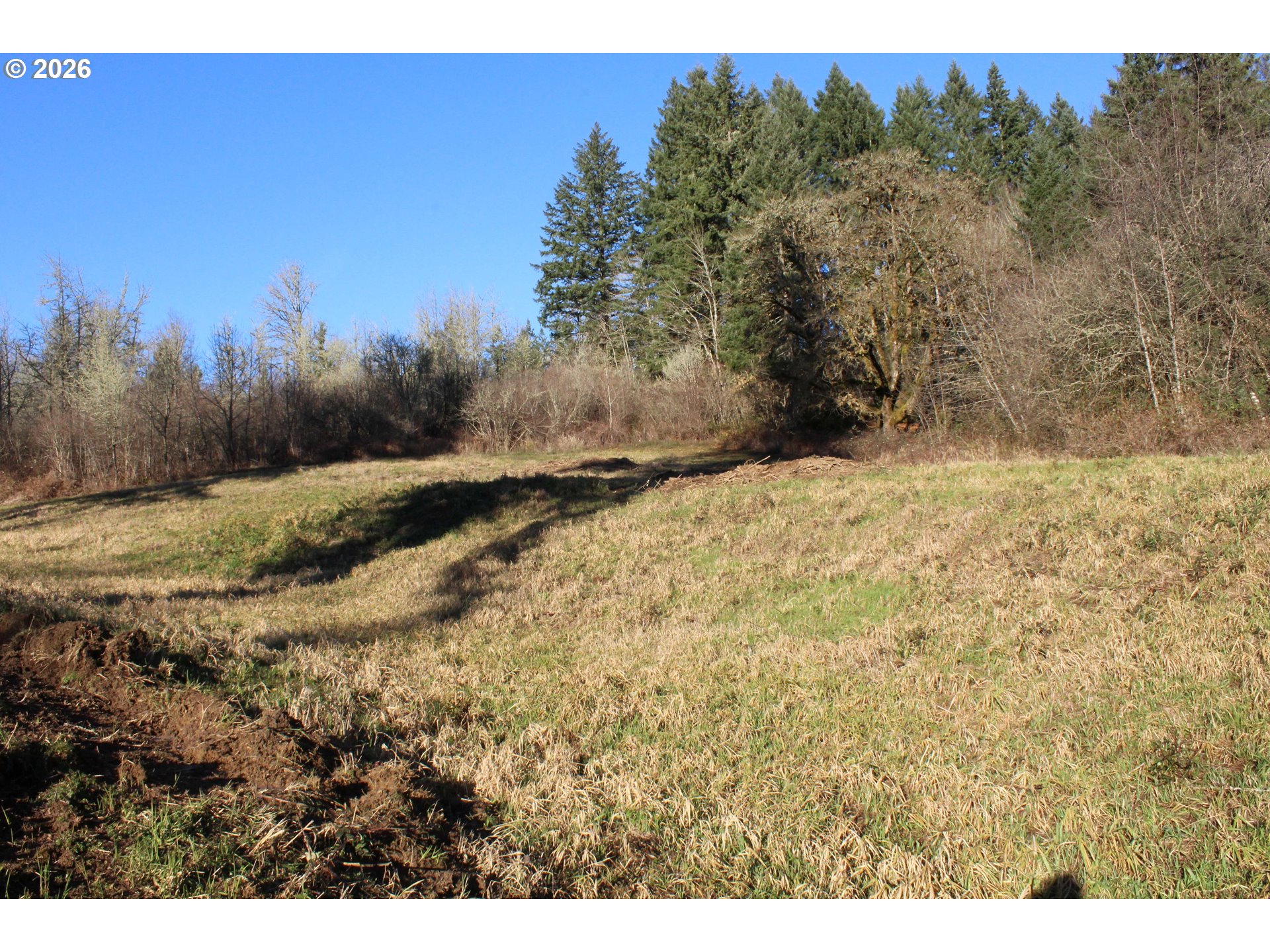 Siercks Road Scappoose, OR 97056 - Photo 11 of 13