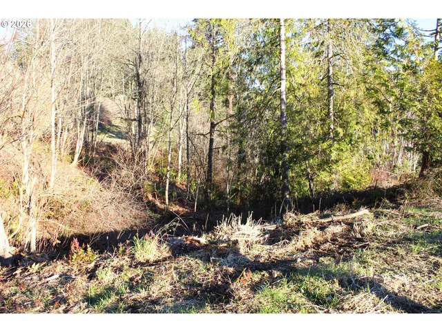 $299,000 | Siercks Road, Scappoose, OR 97056