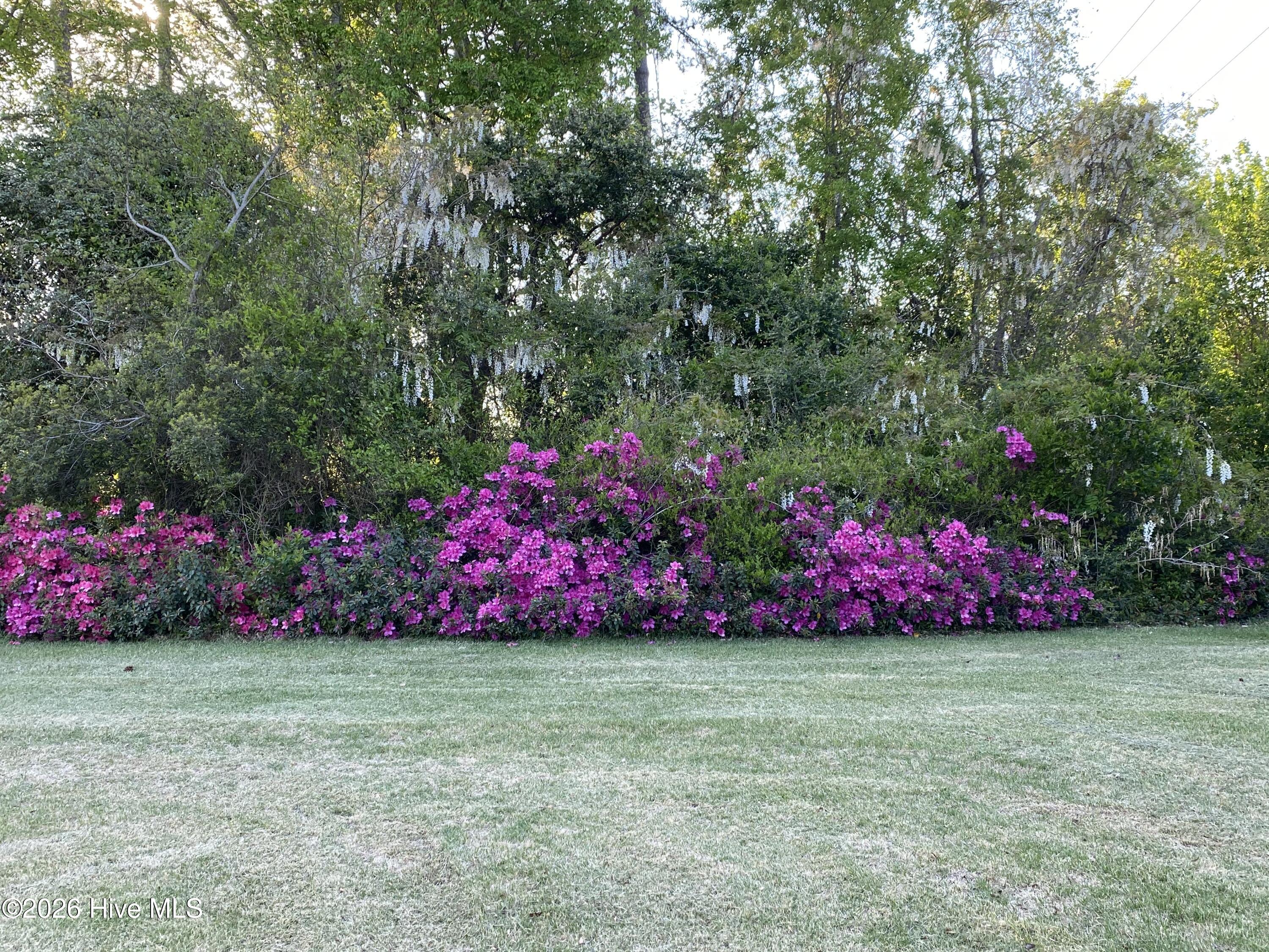911 Cunningham Road Kinston, NC 28501 - Photo 20 of 33 IMG_2622