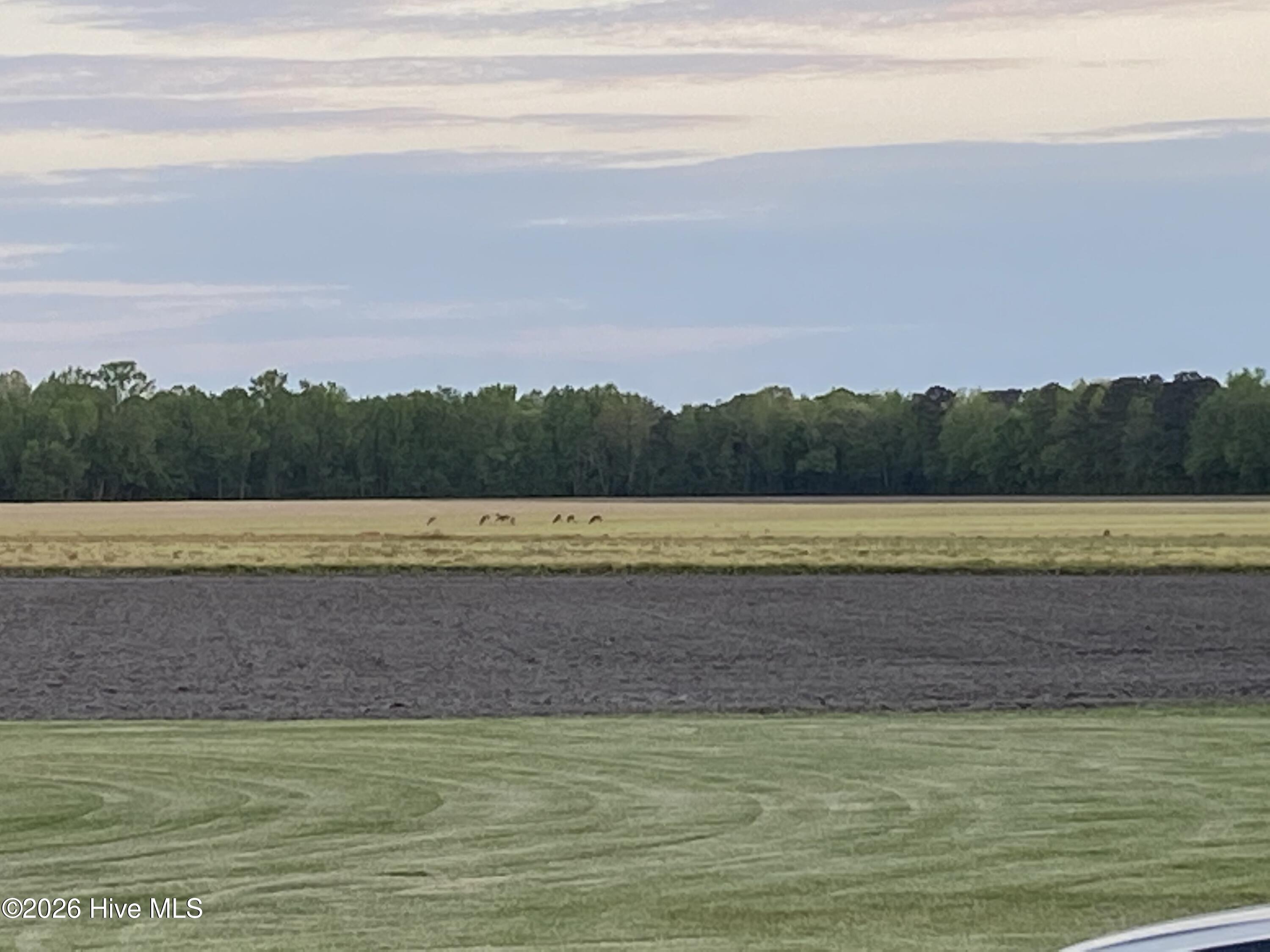 911 Cunningham Road Kinston, NC 28501 - Photo 21 of 33 IMG_2627