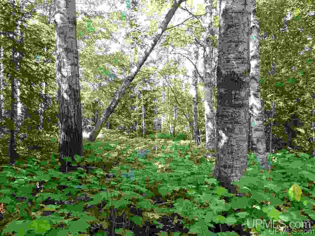 Tbd Freda Road Atlantic Mine, MI 49905 - Photo 10 of 17