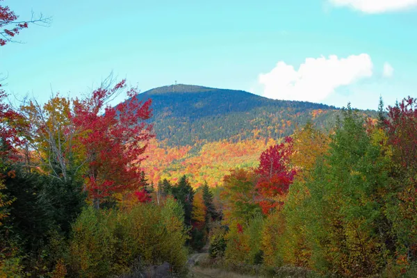 $349,900 | Lot A Lot A Taylor Woods Road, Temple, ME 04984