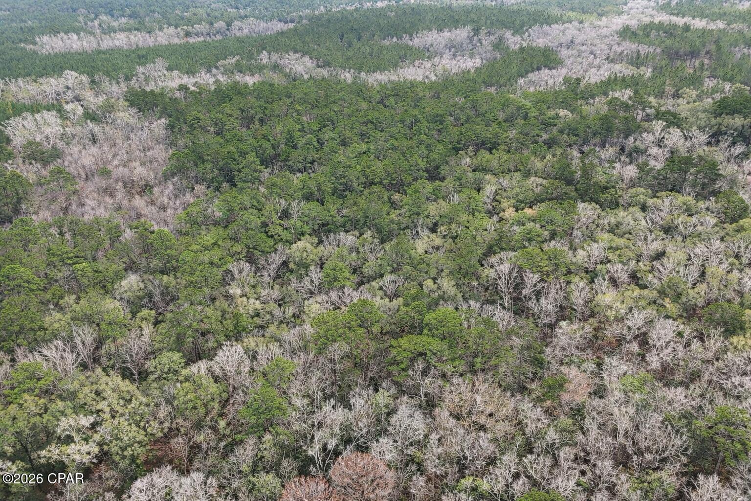 0 Clemmons Road Bonifay, FL 32425 - Photo 2 of 5