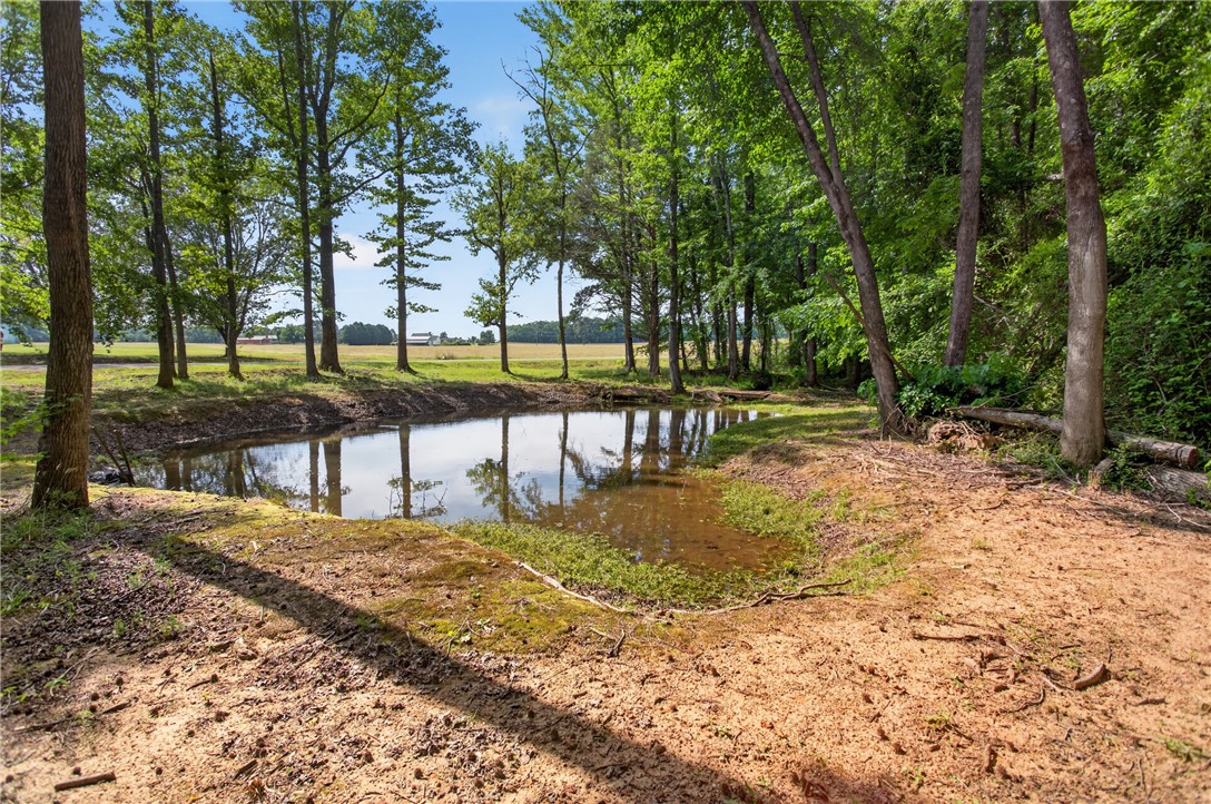 145 State Rd S-4-935 Pendleton, SC 29670 - Photo 3 of 47 A tranquil pond reflects the surrounding trees, offering a serene outdoor retreat.